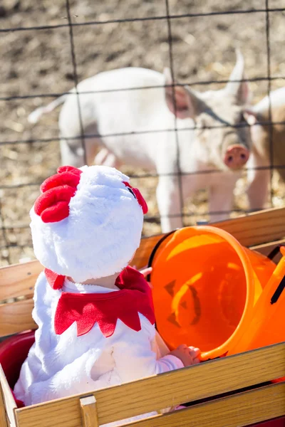 Miúdo bonito em traje de Halloween — Fotografia de Stock