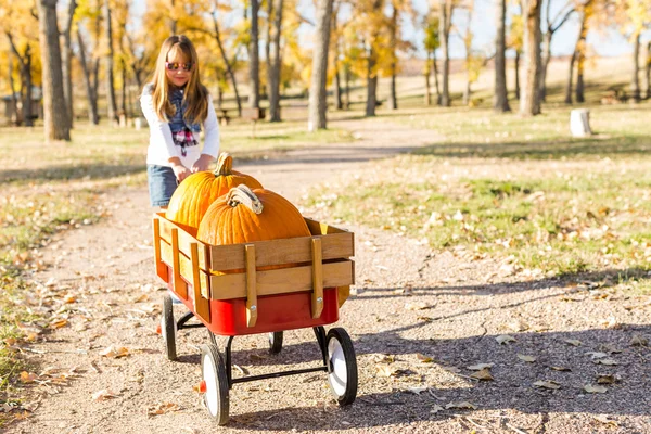 Girl with pumpkins — Stock Photo, Image