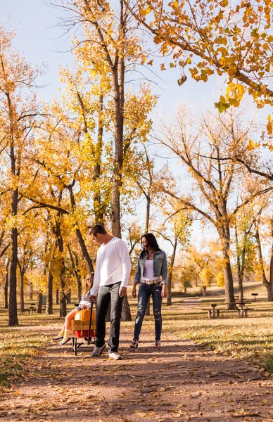 Famille avec citrouilles — Photo