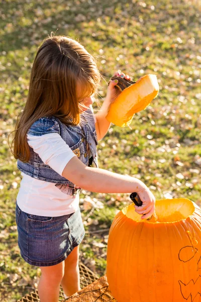 Scultura zucca — Foto Stock