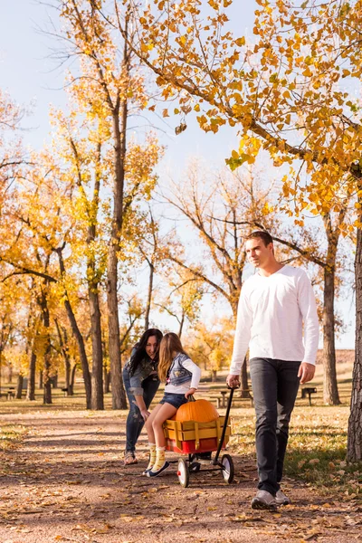 Familie met pumpkins — Stockfoto