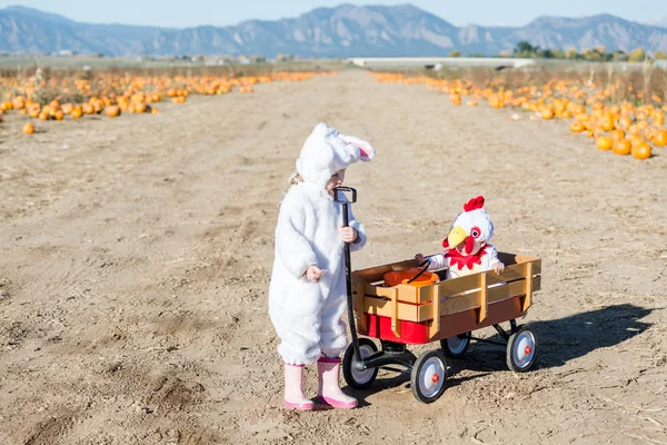 Costume de Halloween — Fotografie, imagine de stoc