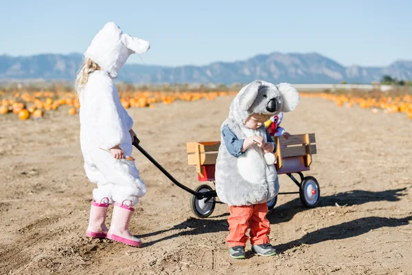 Kinder in Halloween-Kostümen — Stockfoto