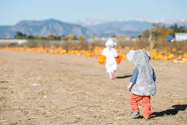 Kids in Halloween Costumes — Stock Photo, Image