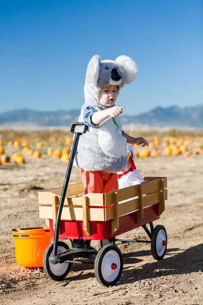 Schattige jongen in Halloween kostuum — Stockfoto