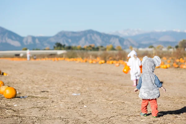 Kinderen in Halloween kostuums — Stockfoto