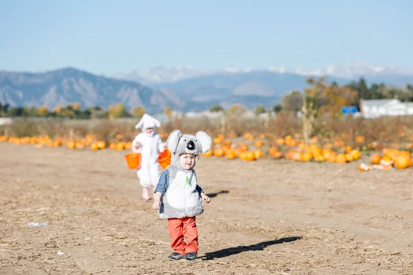 Děti v kostýmech Halloween — Stock fotografie