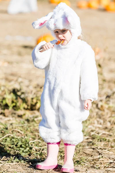 Niedliches Kind im Halloween-Kostüm eines Hasen — Stockfoto