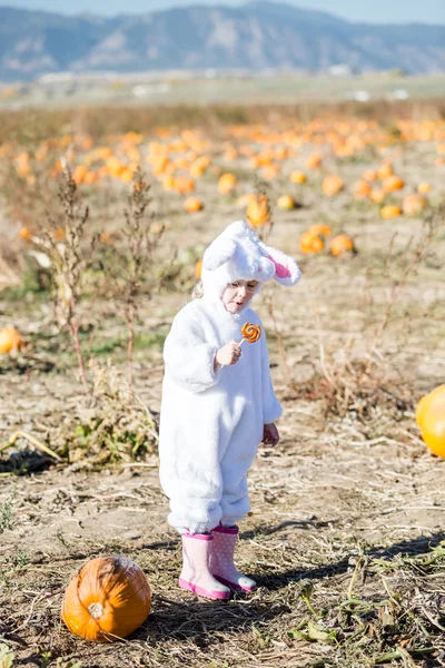 Enfant mignon en costume d'Halloween d'un lapin — Photo