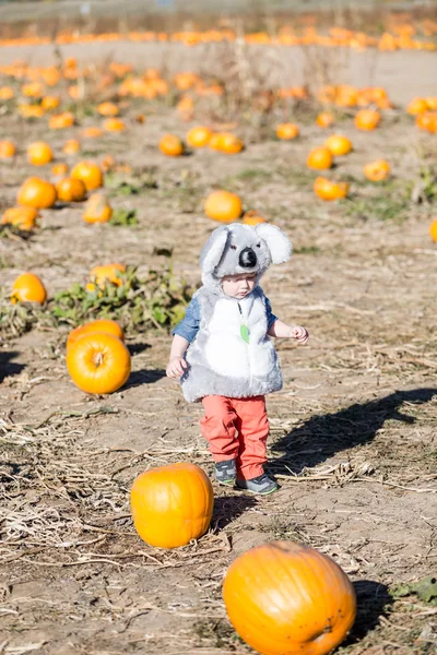 Schattige jongen Halloween kostuum — Stockfoto