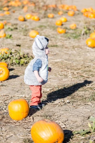 Söta unge Halloween-kostym — Stockfoto