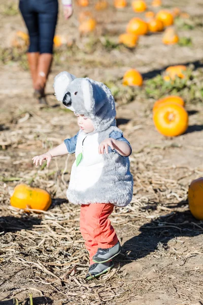 Schattige jongen Halloween kostuum — Stockfoto