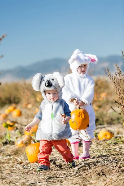Barn i halloweendräkter — Stockfoto