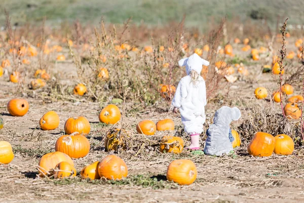 Kids in Halloween Costumes — Stock Photo, Image