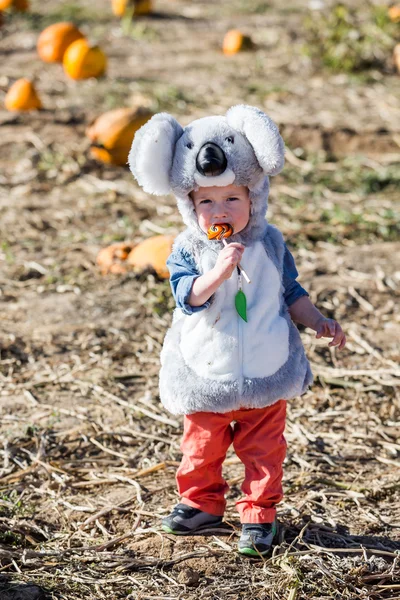 Schattige jongen in Halloween kostuum — Stockfoto