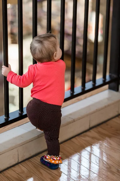 Cute Baby girl — Stock Photo, Image