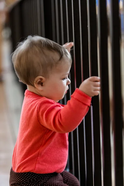 Cute Baby girl — Stock Photo, Image