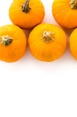 Organik turuncu kabak