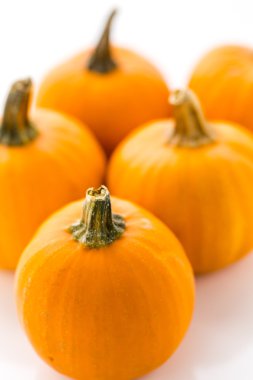 Organik turuncu kabak