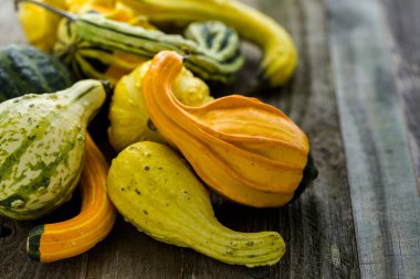 Ahşap masa üzerinde organik kabaklar