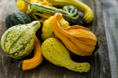 Ahşap masa üzerinde organik kabaklar