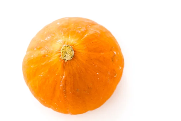 Orange pumpa — Stockfoto