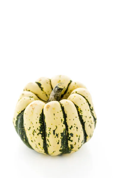 Zucca biologica fresca — Foto Stock