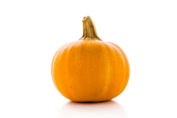 Organic ogange Pumpkin — Stock Photo, Image