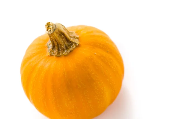 Zucca ogange biologica — Foto Stock