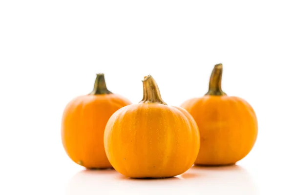 Organic orange Pumpkins — Stock Photo, Image