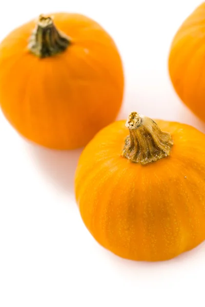 Organische oranje pompoenen — Stockfoto