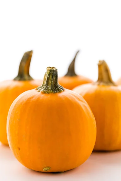 Abóboras Laranja Orgânicas — Fotografia de Stock