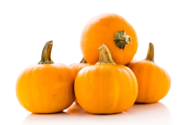 Ekologisk orange pumpor — Stockfoto