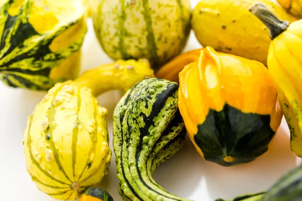 Calabazas frescas — Foto de Stock