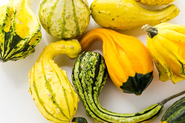 Calabazas frescas — Foto de Stock