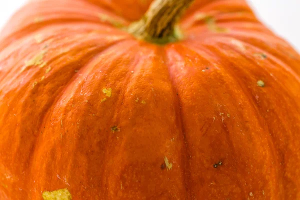 Verse oranje pompoen — Stockfoto