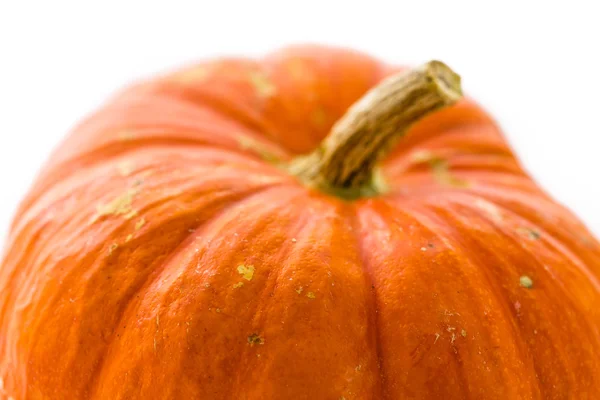 Calabaza naranja fresca — Foto de Stock