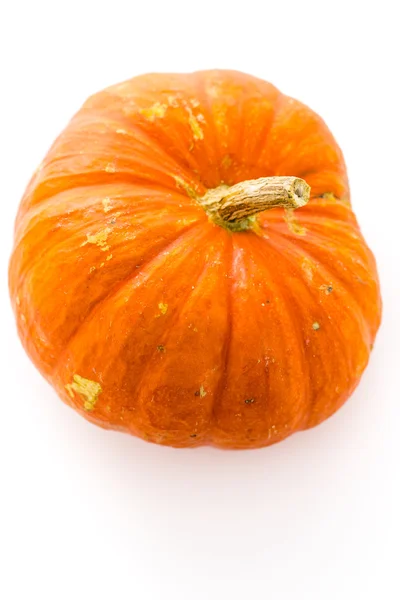 Zucca d'arancia fresca — Foto Stock