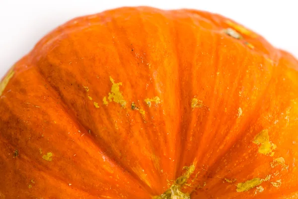 Calabaza naranja fresca — Foto de Stock