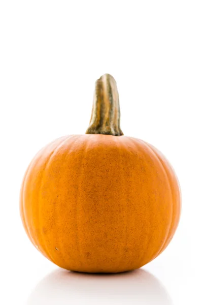 Organic Pumpkin — Stock Photo, Image