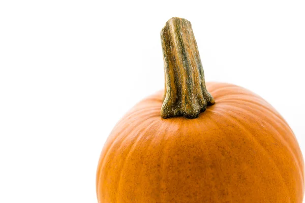 Calabaza ecológica — Foto de Stock