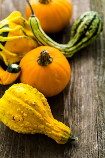 Ekologisk pumpor på träbord — Stockfoto