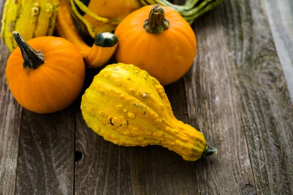 Calabazas ecológicas sobre mesa de madera — Foto de Stock