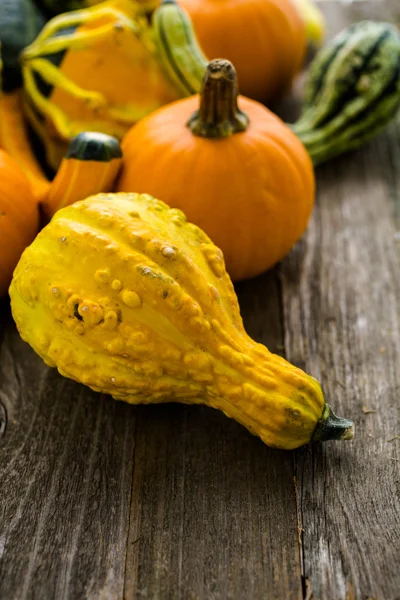 Calabazas ecológicas sobre mesa de madera — Foto de Stock