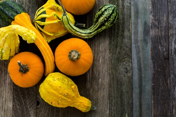 Calabazas ecológicas sobre mesa de madera —  Fotos de Stock