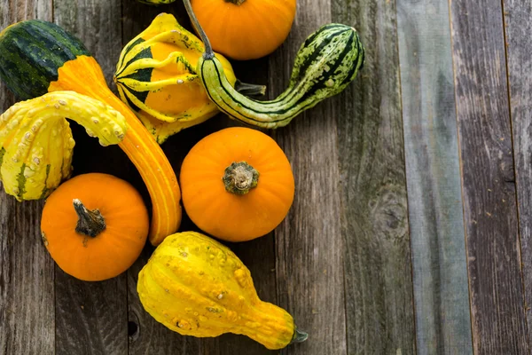 Organic Pumpkins on wooden table — Stock Photo, Image