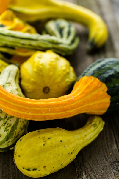 Citrouilles bio sur table en bois — Photo