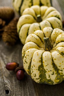 Sağlıklı organik kabaklar