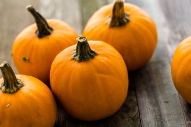 Organik turuncu kabak