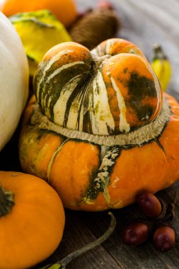 Taze organik kabaklar